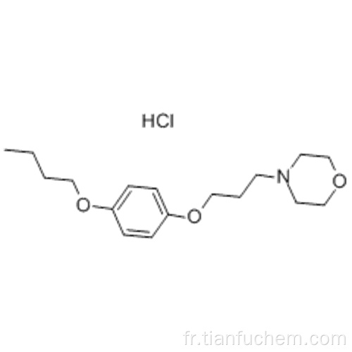 Chlorhydrate de pramoxine CAS 637-58-1